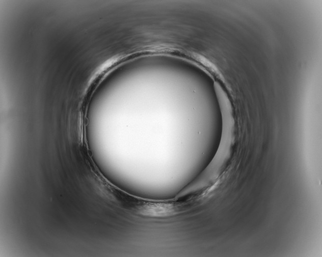 X0000086781171200704271804