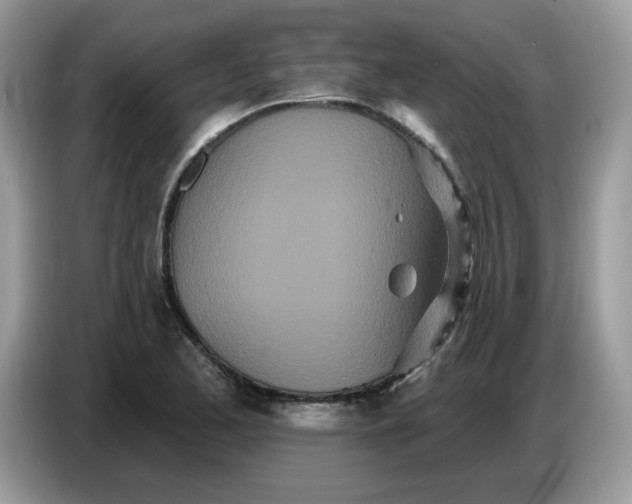 X0000086781173200704271804