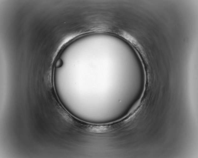 X0000086781174200704271804