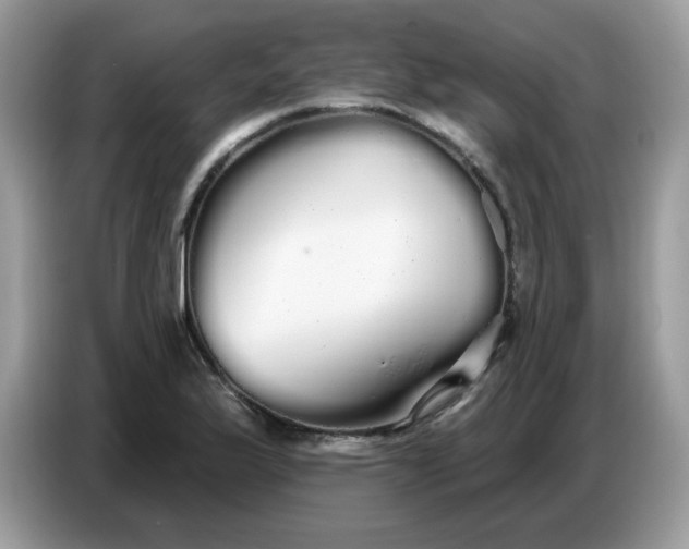 X0000086781175200704271804