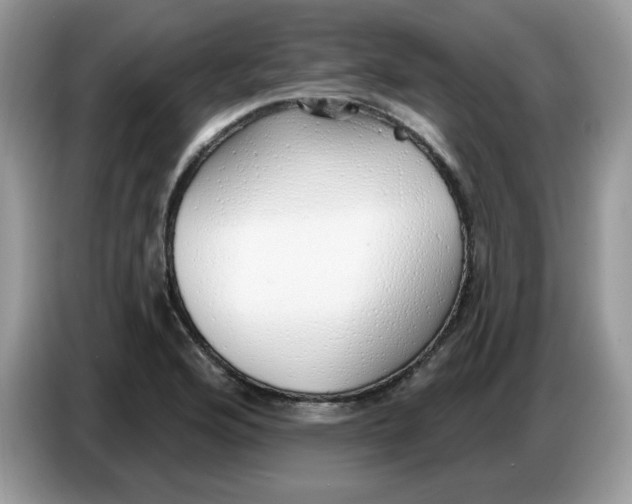 X0000086781176200704271804