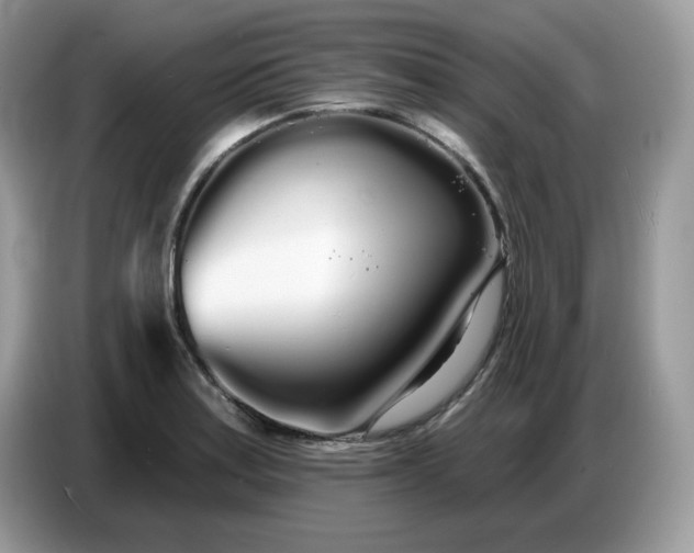 X0000086781179200704271804