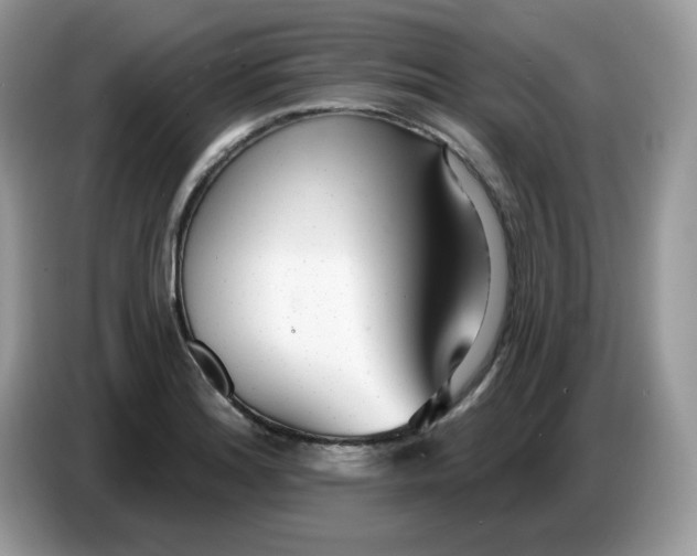 X0000086781180200704271804