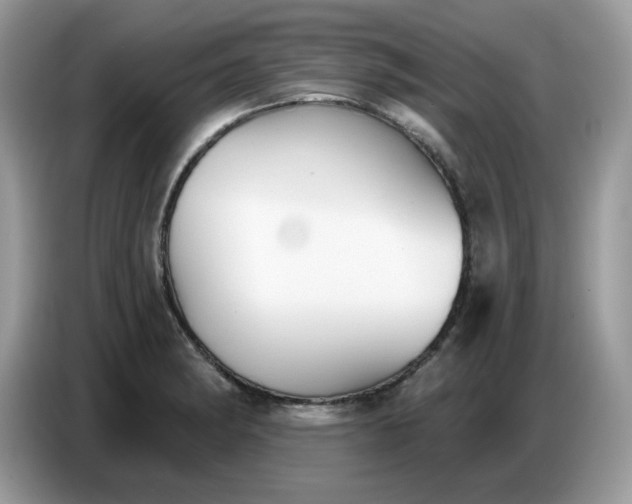 X0000086781182200704271804