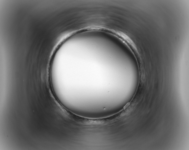 X0000086781183200704271804