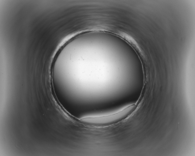 X0000086781184200704271804