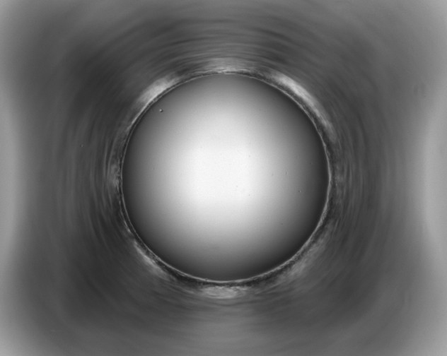 X0000086781185200704271804