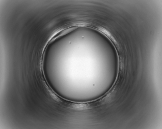 X0000086781186200704271804