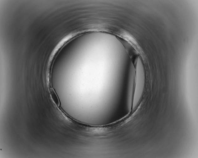 X0000086781188200704271804