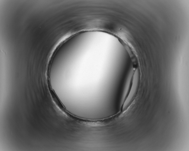 X0000086781189200704271804