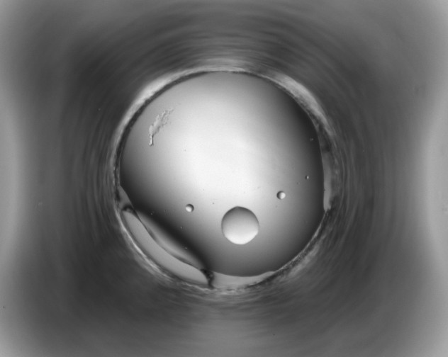 X0000086781192200704271804