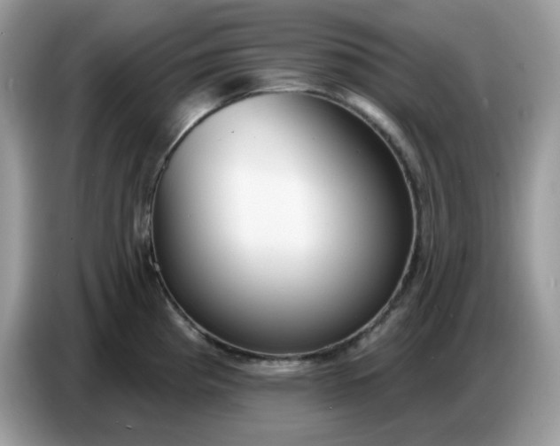 X0000086781193200704271804