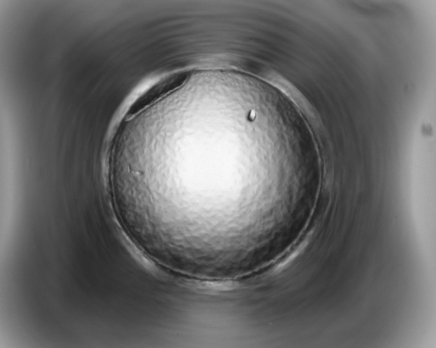 X0000086781196200704271804