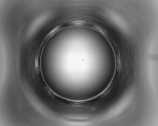 X0000086781198200704271804