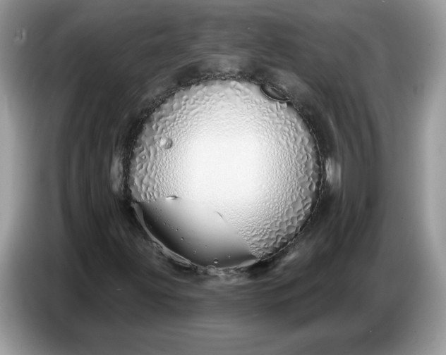 X0000086781203200704271803