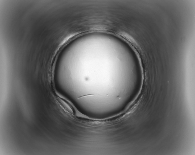 X0000086781212200704271803