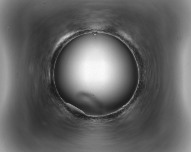 X0000086781214200704271803