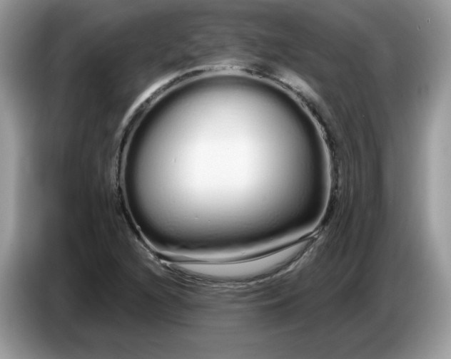 X0000086781216200704271803