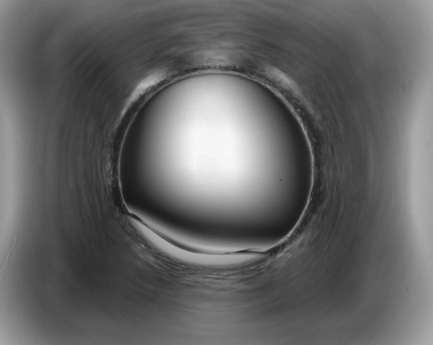 X0000086781218200704271803