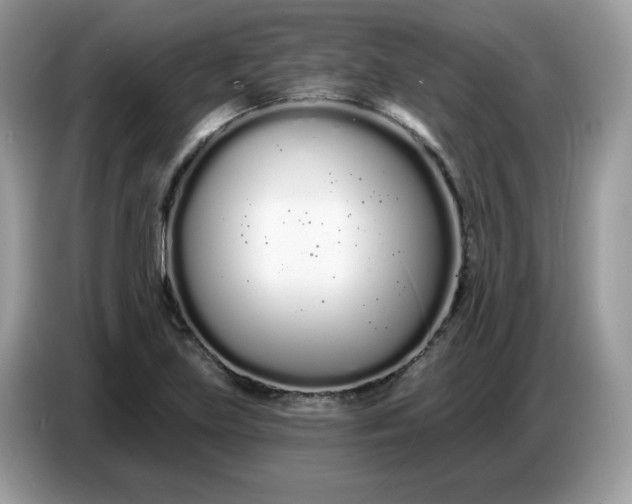 X0000086781219200704271803