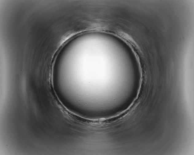 X0000086781220200704271803