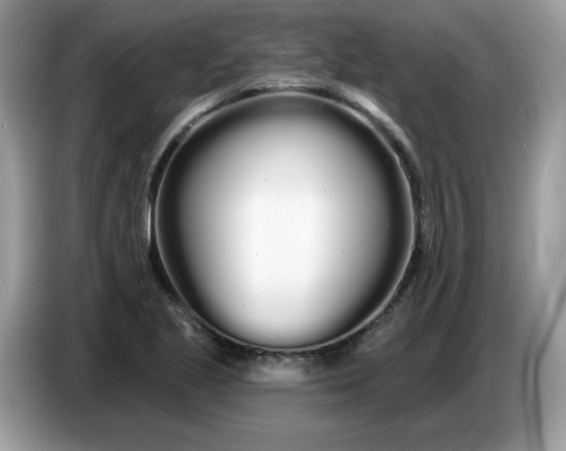 X0000086781221200704271803