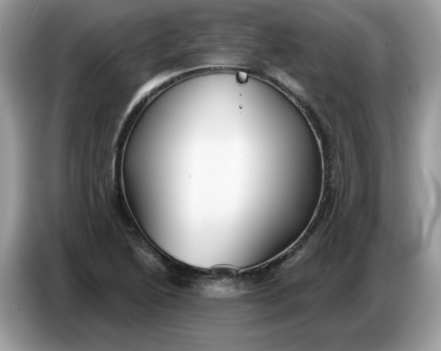 X0000086781222200704271803