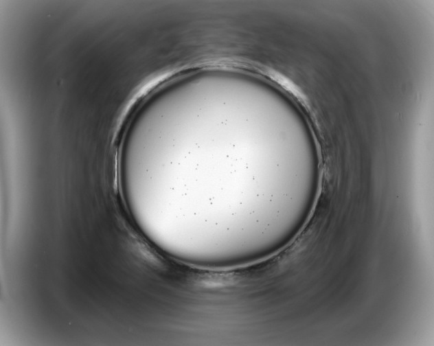 X0000086781223200704271803