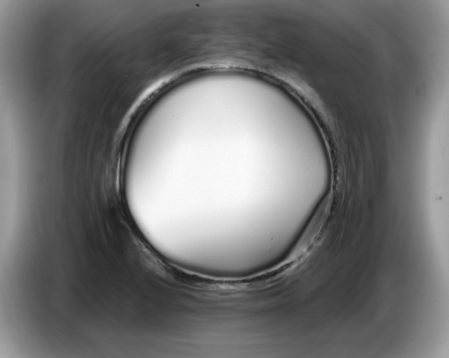 X0000086781224200704271803