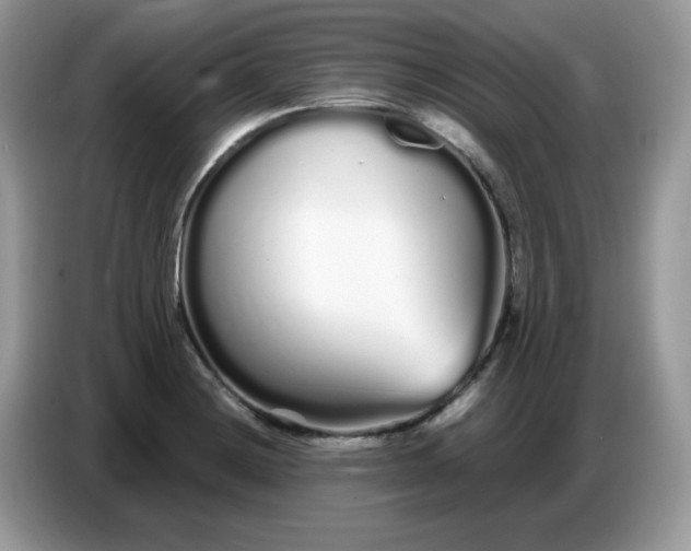 X0000086781228200704271803