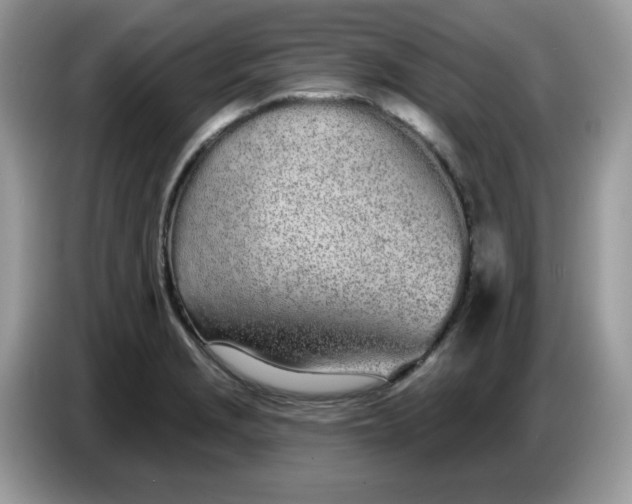 X0000086781229200704271803