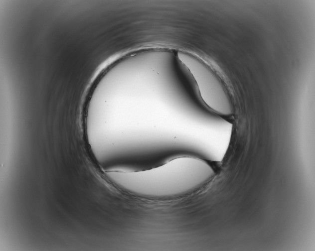 X0000086781230200704271803