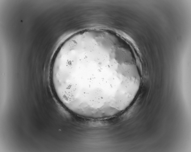 X0000086781231200704271803