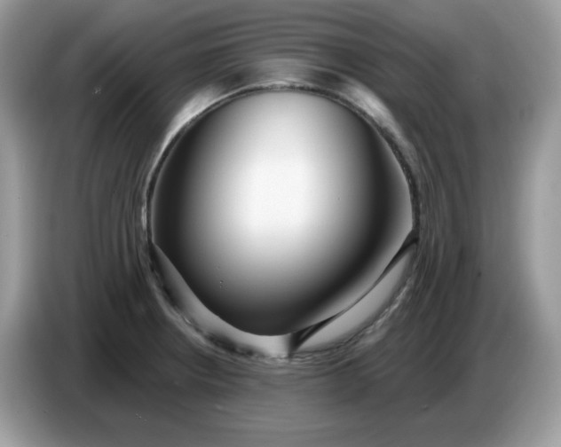 X0000086781234200704271803