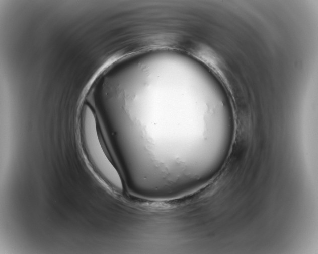 X0000086781235200704271803