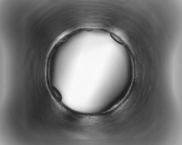 X0000086781237200704271803