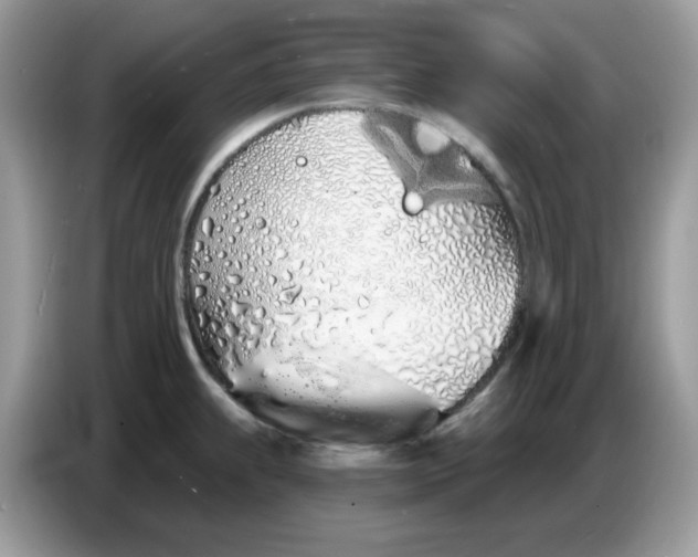 X0000086781239200704271803