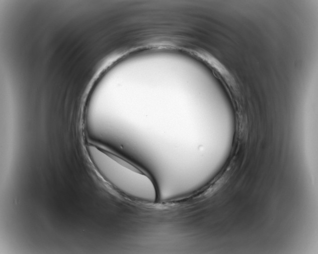 X0000086781240200704271803