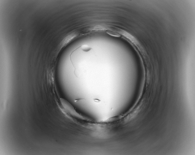 X0000086781241200704271803