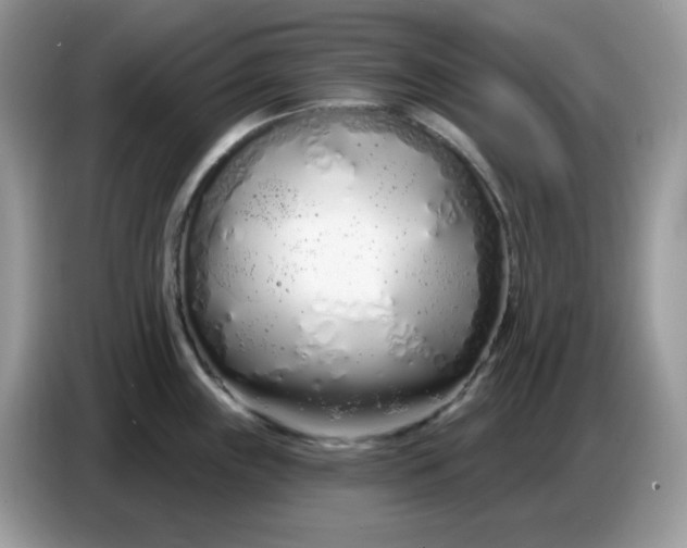 X0000086781243200704271803