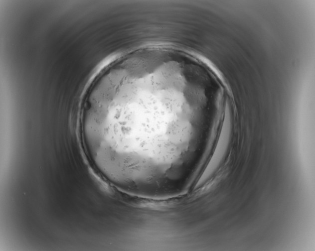 X0000086781245200704271804