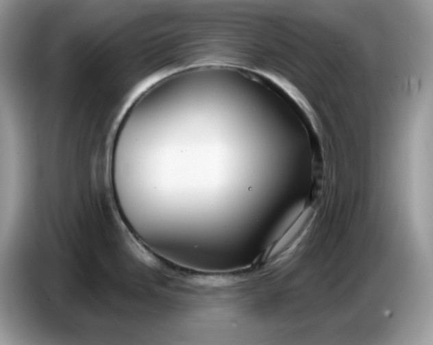 X0000086781246200704271804