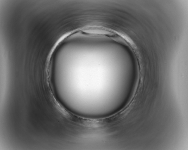 X0000086781248200704271804