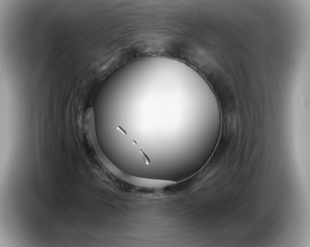 X0000086781250200704271803