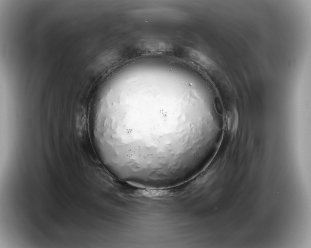 X0000086781251200704271803