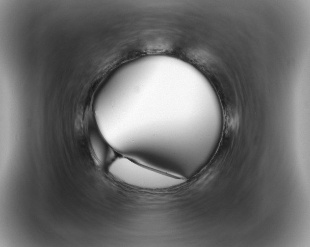 X0000086781252200704271803