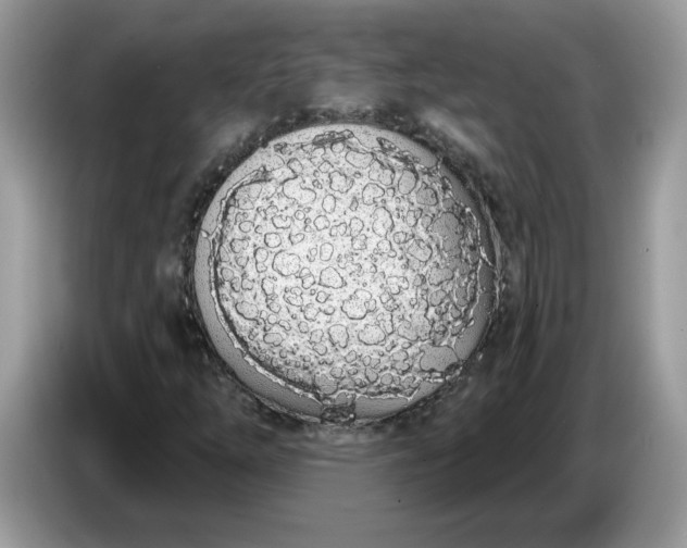 X0000086781254200704271803