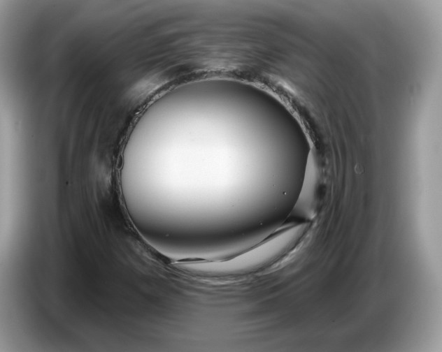 X0000086781257200704271803