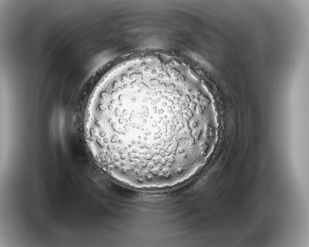 X0000086781258200704271803