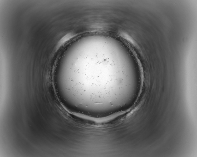 X0000086781259200704271803